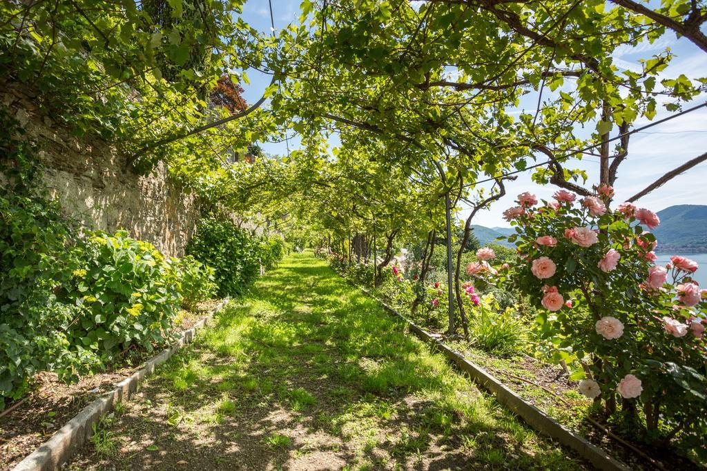 Villa Paradiso Cannero Riviera Exterior photo